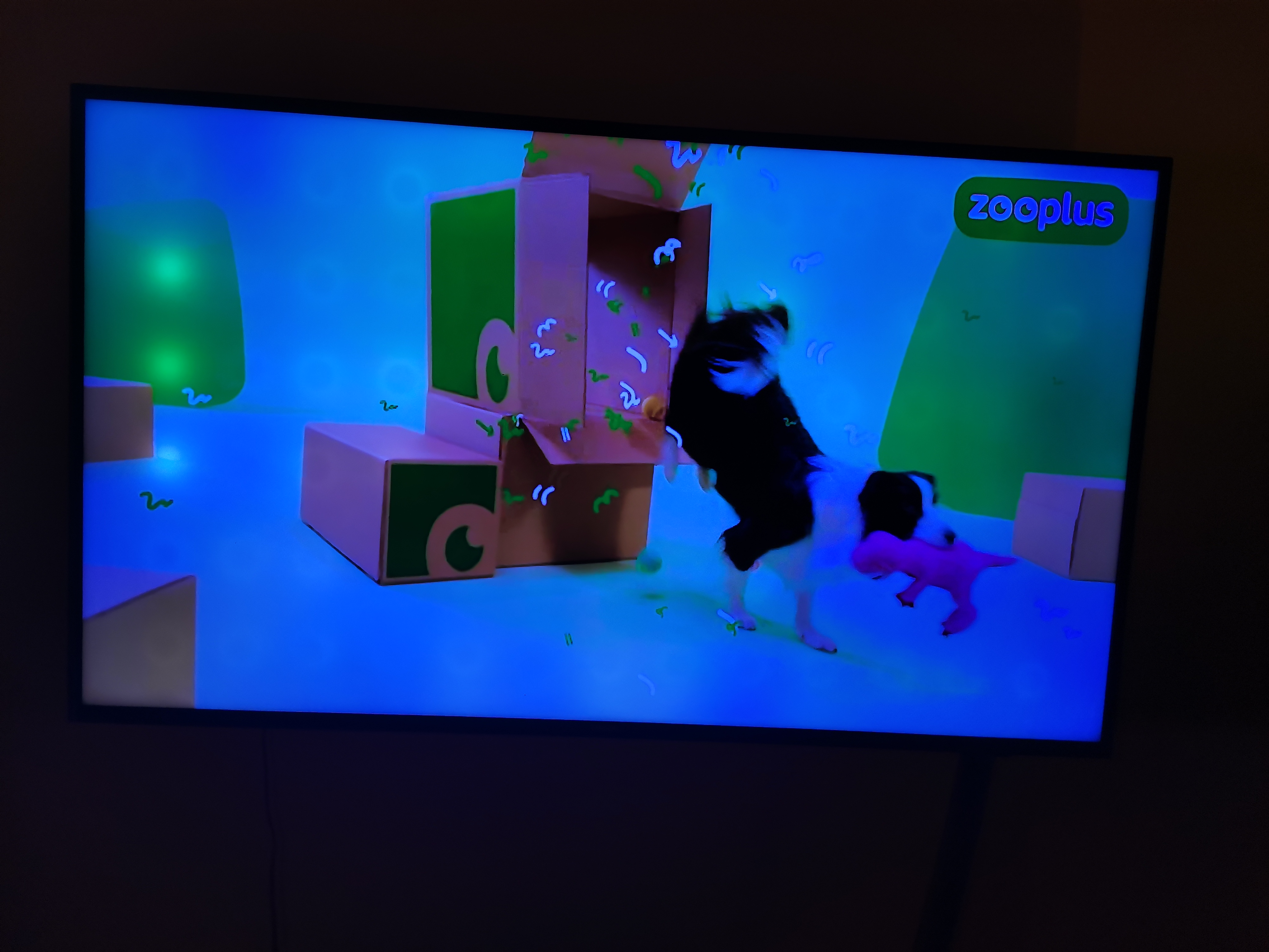 Fernseher Flachbild 50 Zoll Samsung