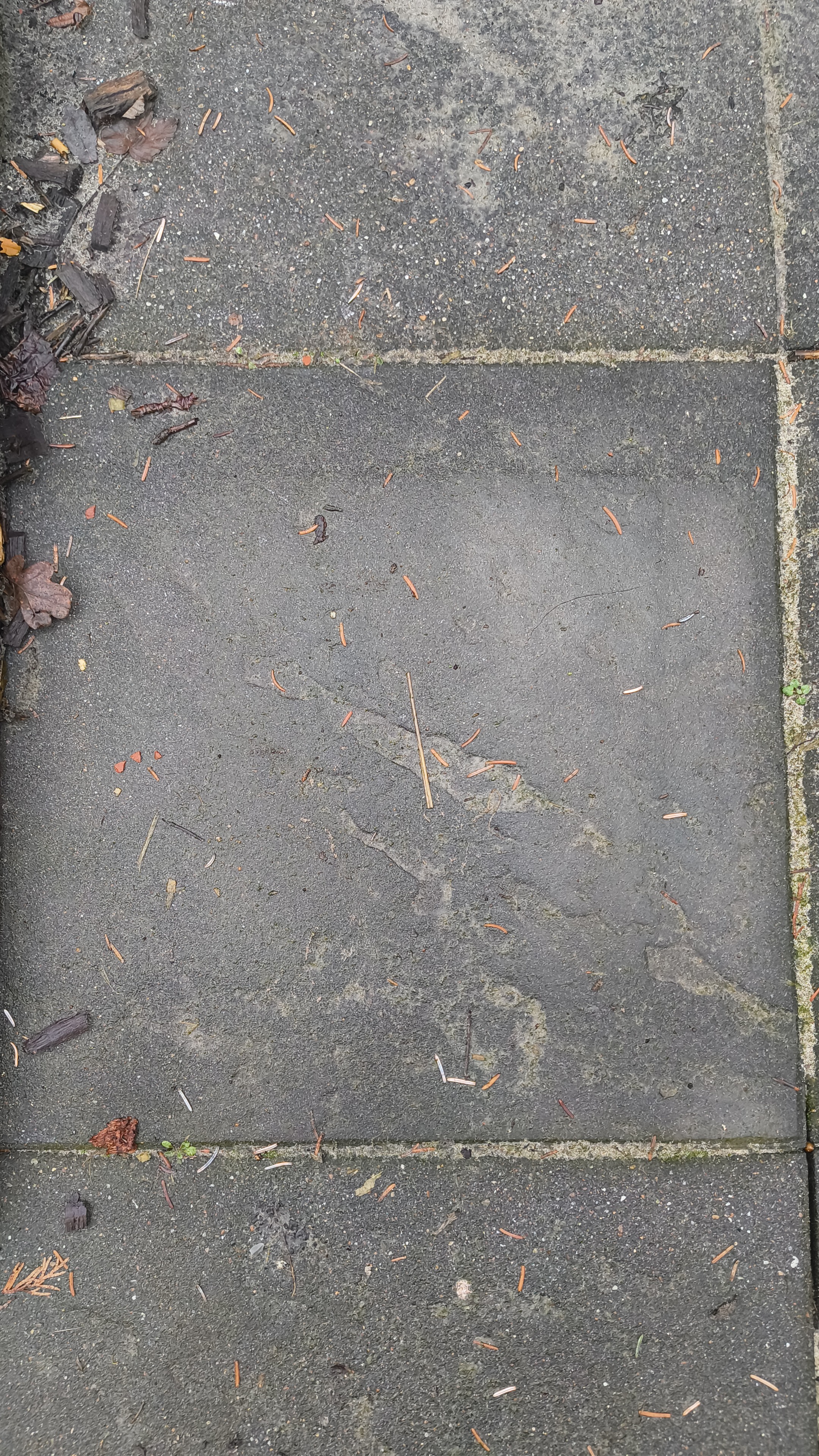 Gehwegplatten grau 50x50cm