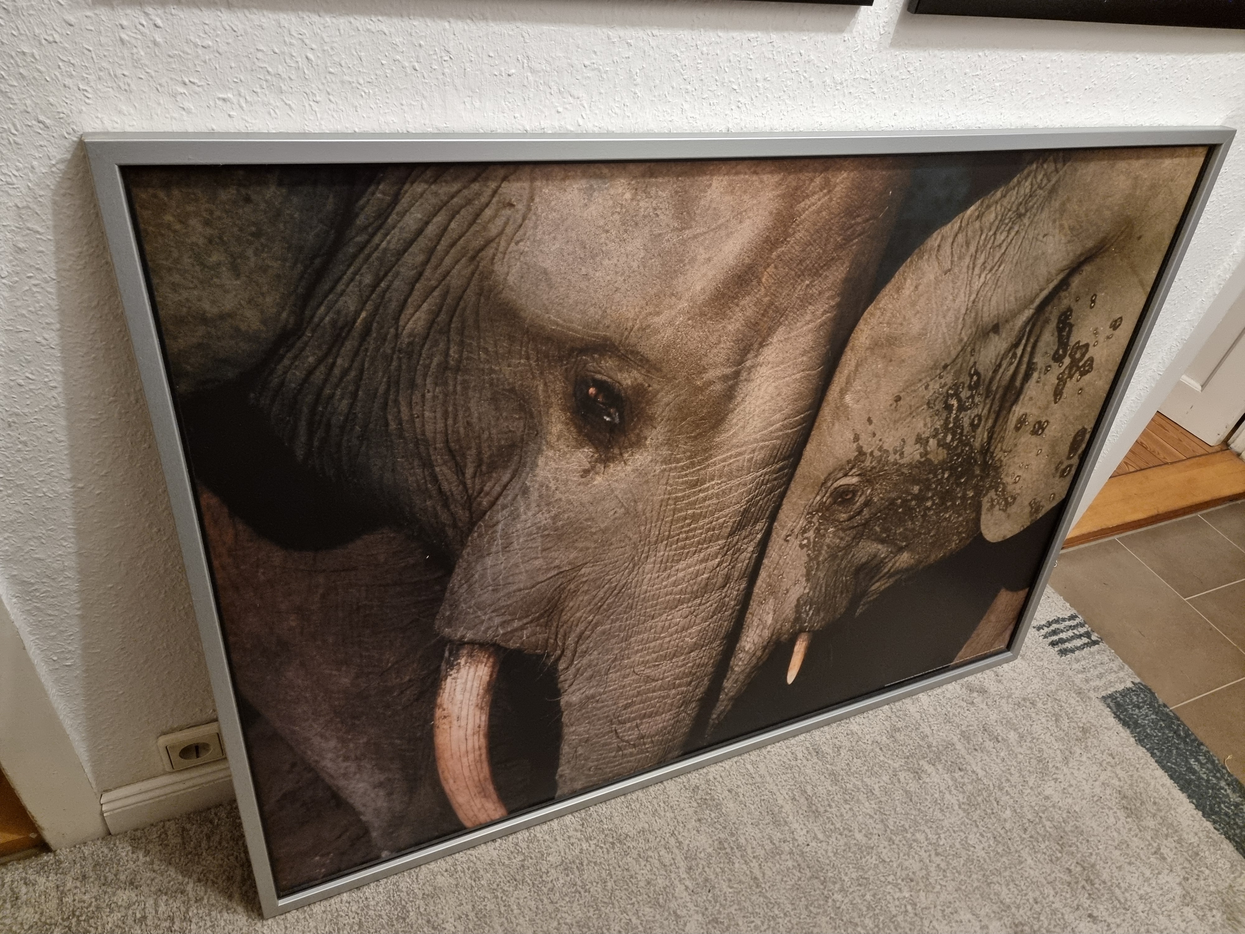 Wandbild Elefantenfamilie