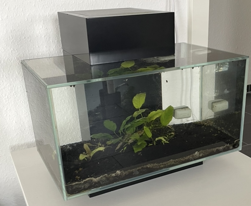 Aquarium (Nano)